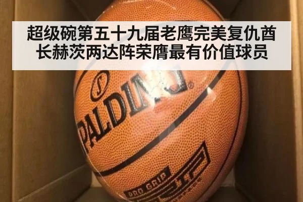 超级碗第五十九届老鹰完美复仇酋长赫茨两达阵荣膺最有价值球员